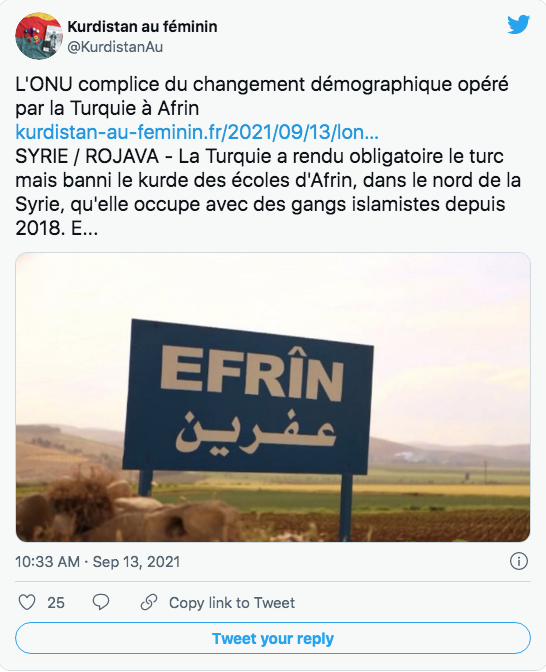 Kurdistant au féminin : changement démographique à Afrin