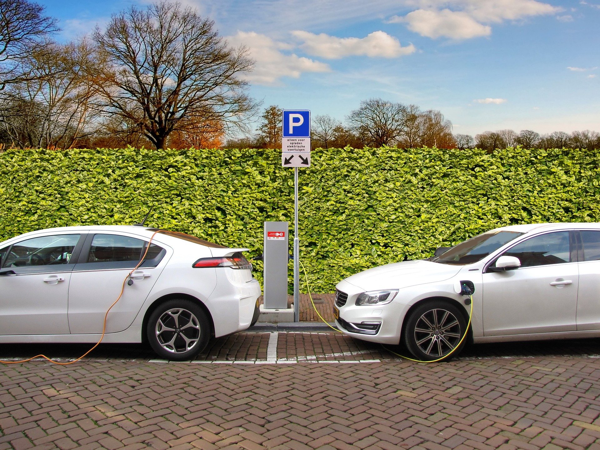 Le gouvernement remplace sa flotte par des véhicules électriques