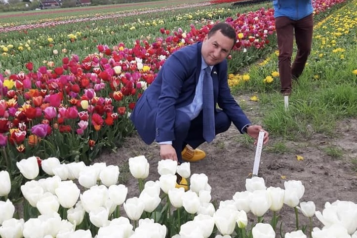 La tulipe hollandaise de couleur blanche portant le nom d’Aragats planté au jardin botanique d’Erévan