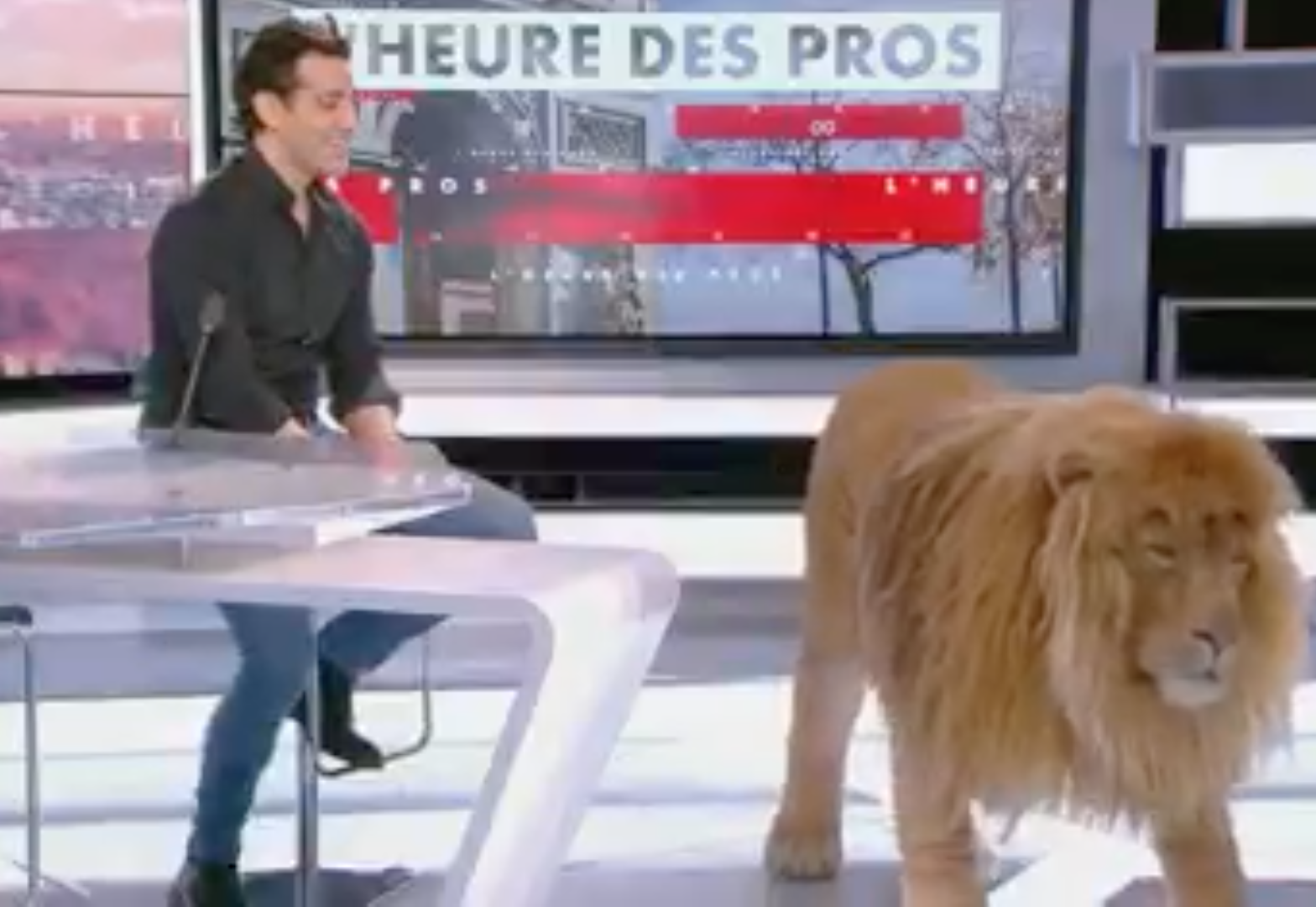 Noé sur CNews avec Essaï Altounian