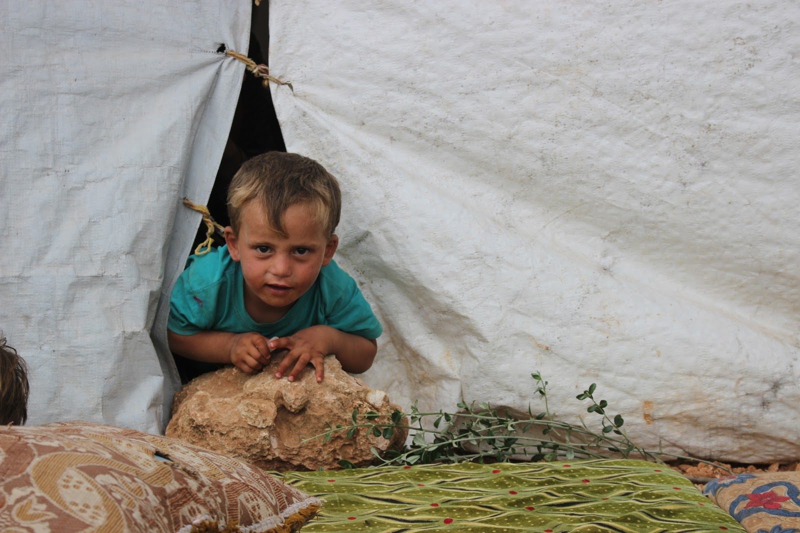 Encore une centaine de femmes et près de 250 enfants français  dans les camps syriens, selon Nunez