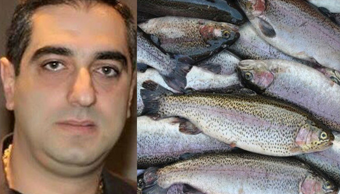 Des poissons morts achetés à bas prix sont revendus dans la rue