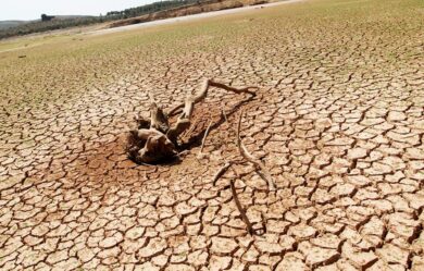 Manifestation à Bagdad contre les pénuries d’eau et d’électricité