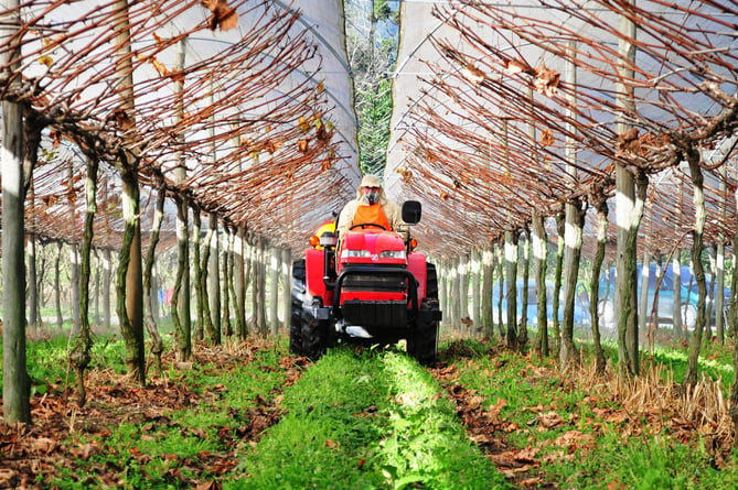 Plus de 200 entités agricoles arméniennes bénéficient de technologies « vertes » dans le cadre d’un programme de l’UE