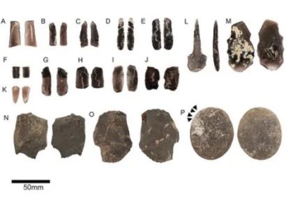 Découverte à Yeghegis en Arménie d’un abri contenant des outils vieux de plus de 5 300 ans et des restes d’animaux