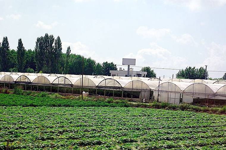 Chypre financera la construction de 10 serres pour les réfugiés d’Artsakh