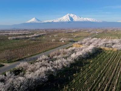 Dans la vallée de l’Ararat, le Tavush et le Syunik, le blé d’automne est en avance